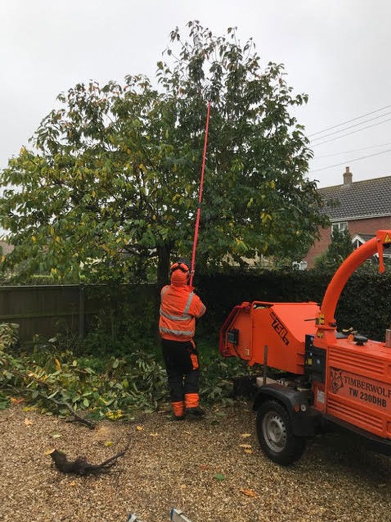 Pruning and hedge cutting